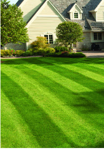 Somerset County lawn services - Lawn care landscaping services in Somerset County, NJ 