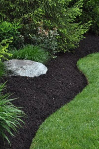 Fall clean-up landscaping services in Bridgewater, NJ 08807