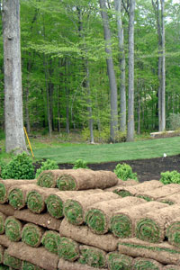 sod installation services nj